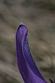 Resize of _MG_0506